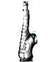 500ml Saxy üvegpalack